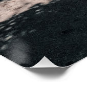 Poster Meilleur Regard Voitures Classiques Célèbres Voitu (Coin)