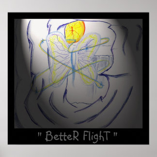 Poster Meilleur vol