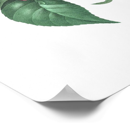 Poster MEILLEURE QUALITÉ Imprimerie botanique de Camellia (Coin)