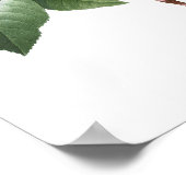 Poster MEILLEURE QUALITÉ Imprimerie botanique de Camellia (Coin)