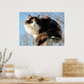 Poster Meilleure vue Calico Photo Cat (Cuisine)