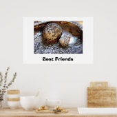 Poster Meilleurs amis (Cuisine)