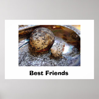 Poster Meilleurs amis