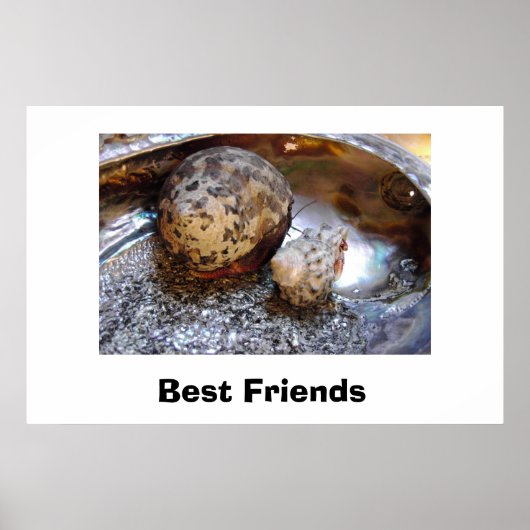 Poster Meilleurs amis (Devant)