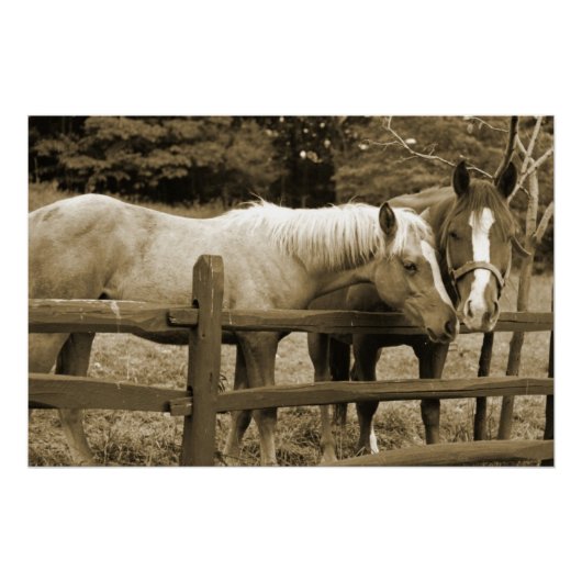 Poster Meilleurs amis (Devant)