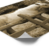 Poster Meilleurs amis (Coin)