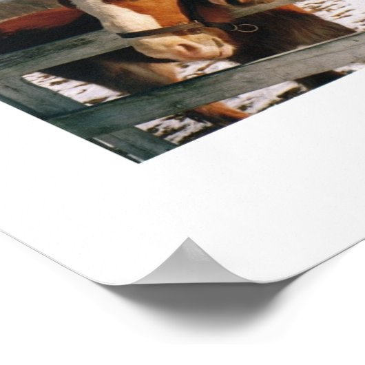 Poster Meilleurs amis (Coin)