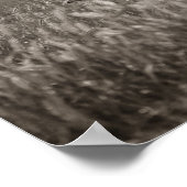 Poster Meilleurs amis (Coin)