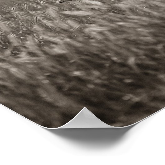 Poster Meilleurs amis (Coin)