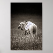 Poster Meilleurs amis (Devant)