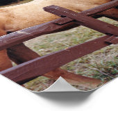 Poster Meilleurs amis (Coin)