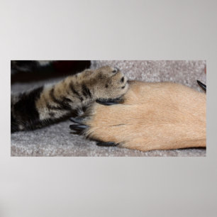 Poster Meilleurs amis pour toujours par Shirley Taylor