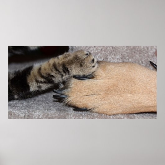 Poster Meilleurs amis pour toujours par Shirley Taylor (Devant)