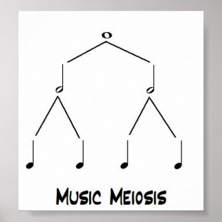 Poster Méiose musicale