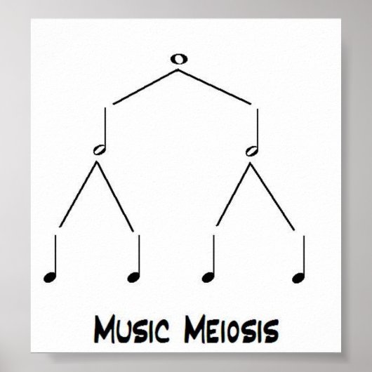 Poster Méiose musicale (Devant)