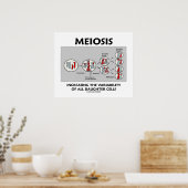 Poster Meiose Variabilité Croissante Toutes Les Cellules  (Cuisine)