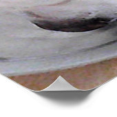 Poster Mélange blanc Labrador Mélange Chien Chien Chien C (Coin)