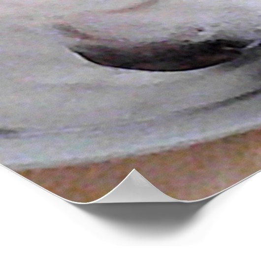 Poster Mélange blanc Labrador Mélange Chien Chien Chien C (Coin)