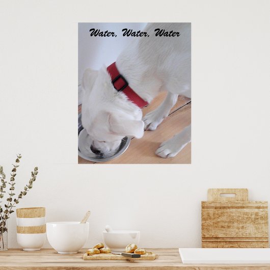 Poster Mélange blanc Labrador Mélange Chien Chien Chien C (Cuisine)