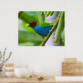 Poster Mélange coloré (Cuisine)