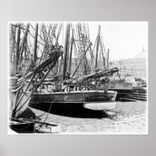 Poster Melbourne, 1903 :  Alma Doepel