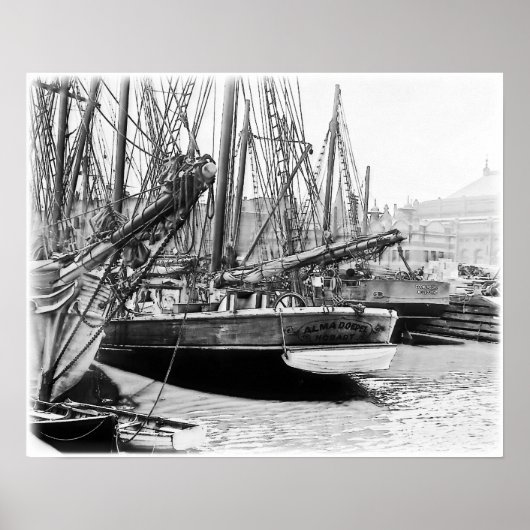 Poster Melbourne, 1903 : The Alma Doepel (Devant)