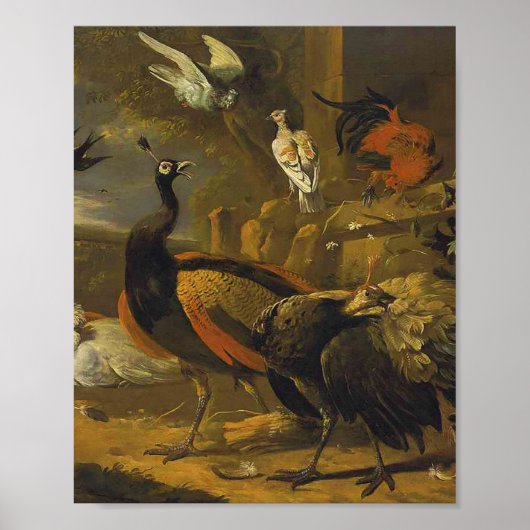 Poster Melchior d'Hondecoeter - Oiseaux dans un parc (Devant)