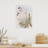 Poster Mellisuga Minima Colibris par John Gould (Cuisine)