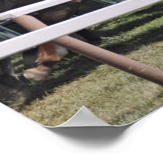 Poster Mellon Turf - Course de course Saratoga (Coin)