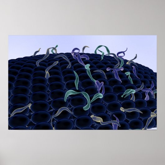 Poster membrane cellulaire magnétisée (Devant)