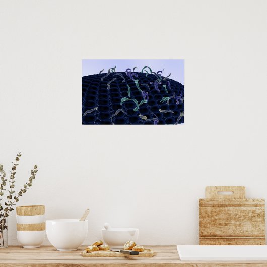 Poster membrane cellulaire magnétisée (Cuisine)