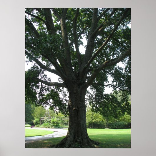 Poster Membres (Devant)