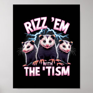 Poster Mème Autiste Opossum Rizz Em Avec Tism Autism