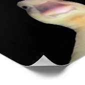 Poster Mème de canard drôle : Bienvenue à My Crib Duck (Coin)