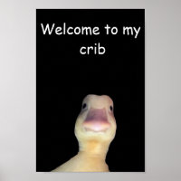 Mème de canard drôle : Bienvenue à My Crib Duck