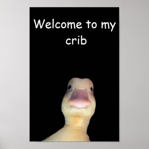 Poster Mème de canard drôle : Bienvenue dans mon antre de