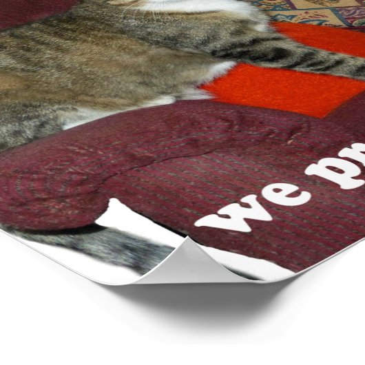 Poster Mème de chat (Coin)