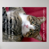 Poster Mème de chat (Devant)