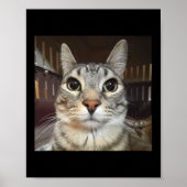 Poster Mème de chat à mât à mâcher (Devant)