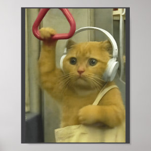 Poster Mème de chat de métro drôle Kit d'humour de chats 