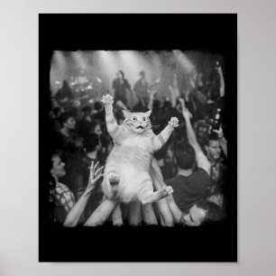 Poster Mème de chat de spectacle de rock humour drôle cha