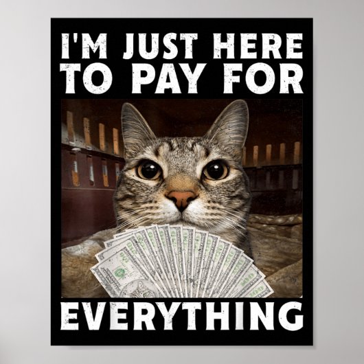 Poster Mème de chat drôle Je suis juste là pour payer pou (Devant)