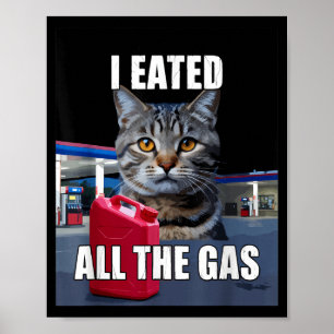 Poster Mème de chat drôle je voulais tout le gaz drôle Me