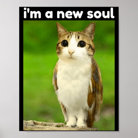 Poster Mème de chat mignon Meowl Brainrot Chouette (Devant)