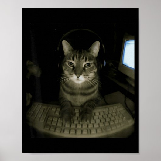 Poster Mème de chat pirate drôle chat d'ordinateur chaton (Devant)