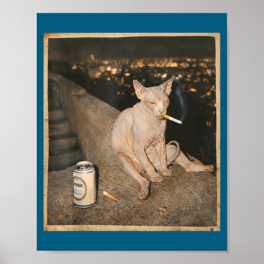 Poster Mème de chat Sphynx fumeur mignon drôle (Devant)