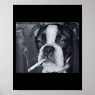 Poster Mème de chien qui fume drôle Cigarette Mème de chi