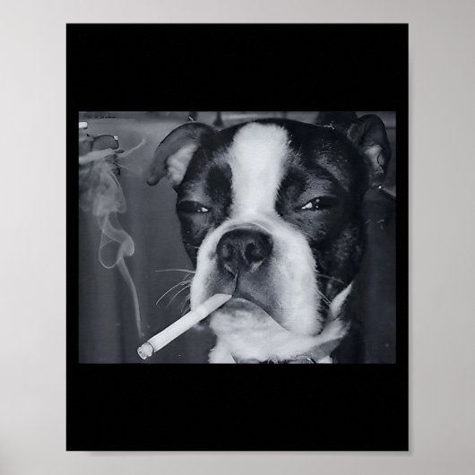 Poster Mème de chien qui fume drôle Cigarette Mème de chi (Devant)