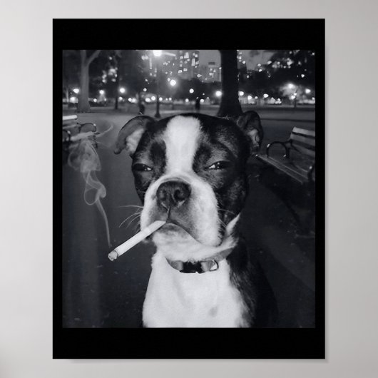 Poster Mème de chien qui fume drôle Cigarette Mème de chi (Devant)
