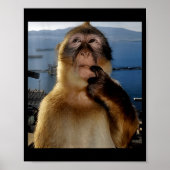 Poster Mème de singe pensant drôle Curieux singe Brainrot (Devant)